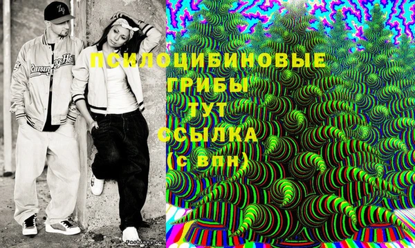 марки lsd Богданович